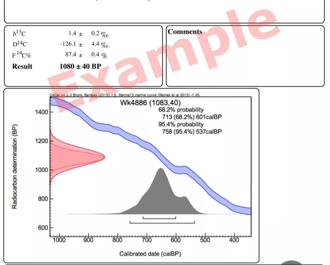 carbon-dating-example